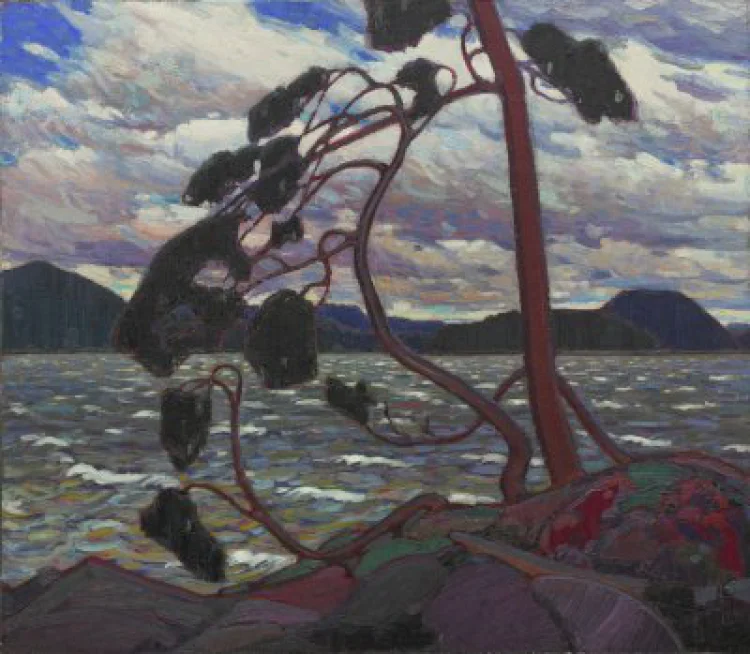 Tom Thomson, „The West Wind“, Winter 1916-1917, Öl auf Leinwand, Art Gallery of Ontario. Gift of the Canadian Club of Toronto, 1926.  | © Foto: Foto: Art Gallery of Ontario, 784 
