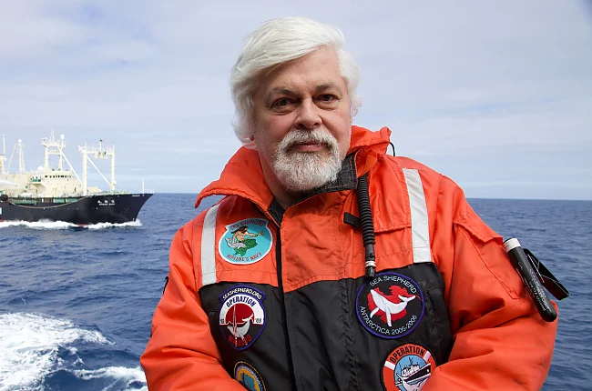 Paul Watson im Kampf gegen den illegalen Walfang | © Bildarchiv der Sea Shepherd Conservation Society