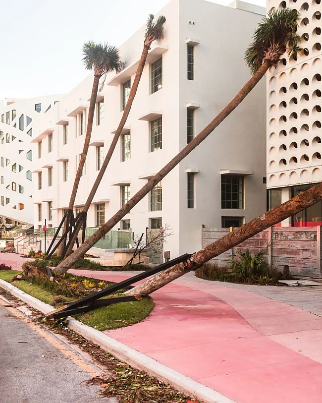 Anastasia Samoylova, Pink Sidewalk, 2017, from the series FloodZone | © Anastasia Samoylova, Courtesy of artist