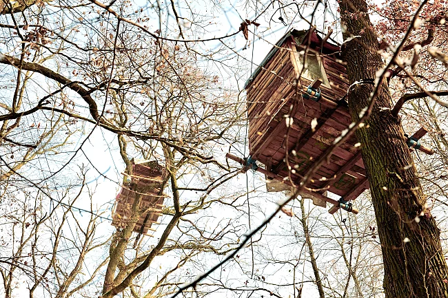 Meike Fischer: Baumhäuser im besetzten Fechenheimer Wald | © HMF, Meike Fischer