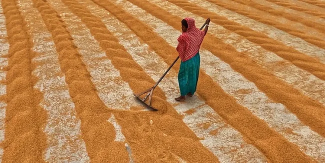  | &copy; Dibakar Roy (unsplash)