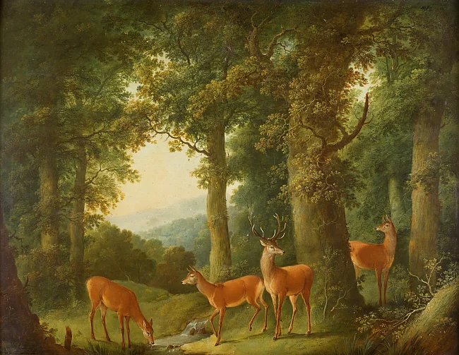 Johann Andreas Herrlein, Waldlandschaft mit Rotwild, 1760-1770 | © Freies Deutsches Hochstift, Foto: David Hall