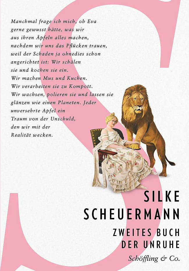 Cover „Zweites Buch der Unruhe“ | &copy; Schöffling