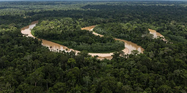 Amazonas | ©  USDA Forest Service / Diego Perez.