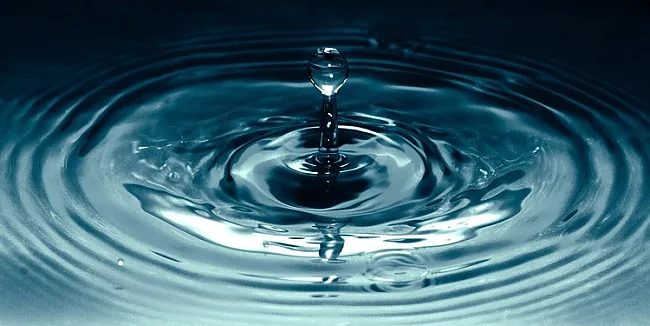  | &copy; Terry Vlisidis