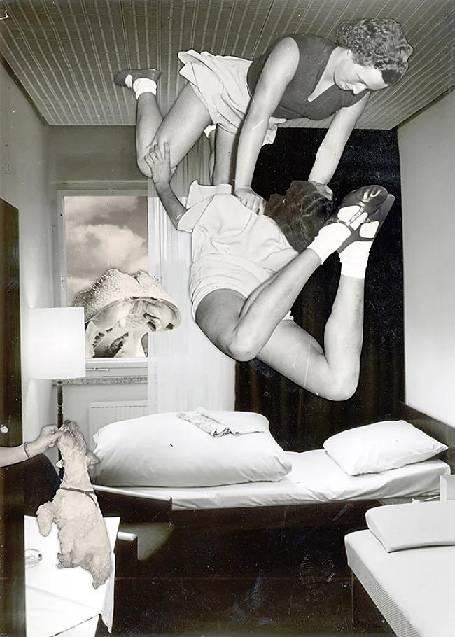 Thomas Draschan, Reasonable Rhymes (2011) | © Art Virus Ltd.