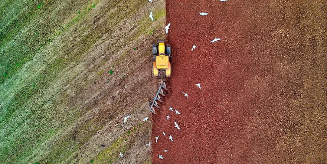  | &copy; Red Zeppelin / Pexels