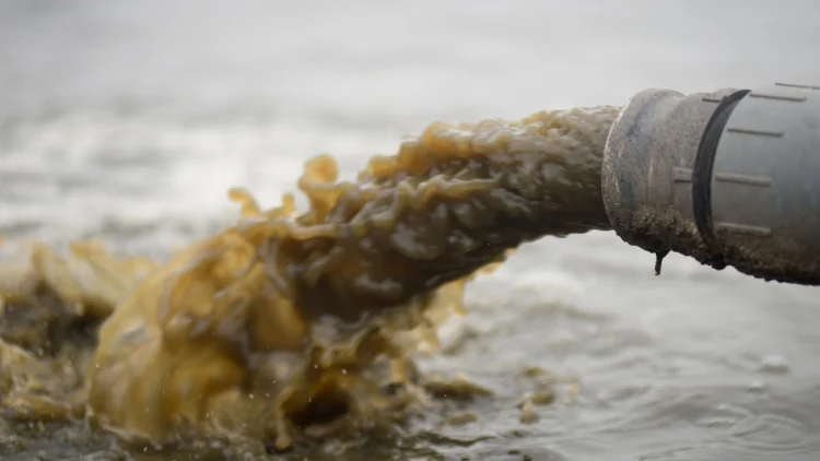 Ungeklärtes Abwasser wird ins Meer geleitet | © Foto: U.S. Department of Agriculture.