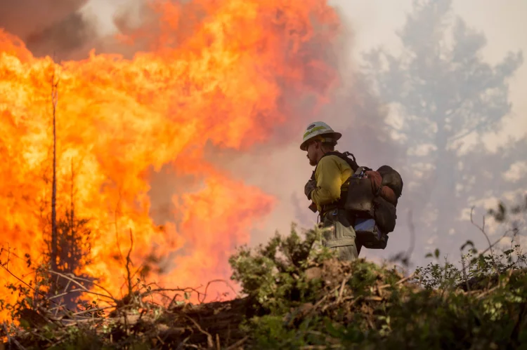 U.S.-amerikanische Feuerwehr gegen das Pioneer Fire, das 96,469 Hekta Land im Boise National Forest nahe Idaho City, USA konsumierte. 18.07.2016 | &copy; Foto: U.S. Forest Service