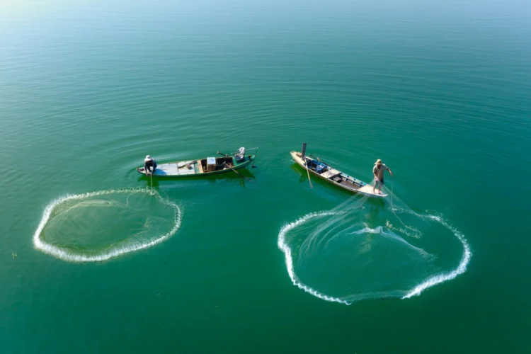 Fischer | © Foto: Quang Nguyen Vinh