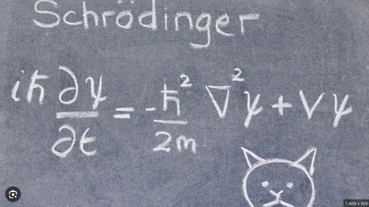 Schrödingers Katze wundert sich über die Wellengleichung