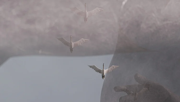 Fragile Landschaften | &copy; Foto: Yui Kawaguchi, Gabi Schillig