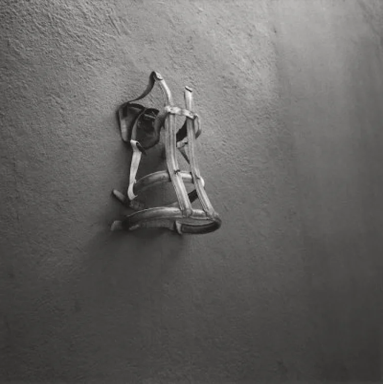 Frida’s Bathroom, Mexico City, 2006  | © Foto: Graciela Iturbide/Colecciones Fundación MAPFRE, 2019