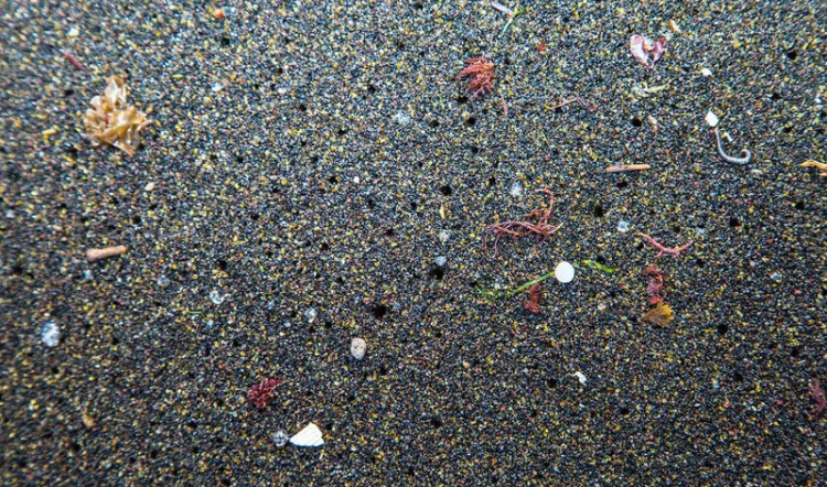 Mikroplastik an einem Strand auf den Azoren, Portugal, 2015 | © Foto: Peter Charaf / RaceforWater
