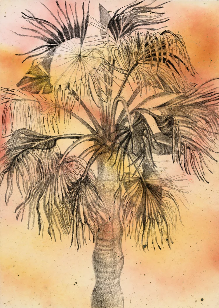Sandra Kranich: Palm Tree Session 10, 2023, Tintenstrahldruck auf Polylux Synth. Papier, 211 x 150 cm | © Foto: Philipp Pflug / Foto: Wolfgang Günzel, Offenbach am Main