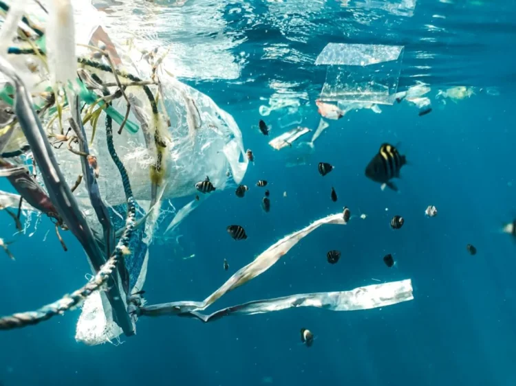 Plastikmüll im Ozean | © Foto: Naja Berolt Jensen
