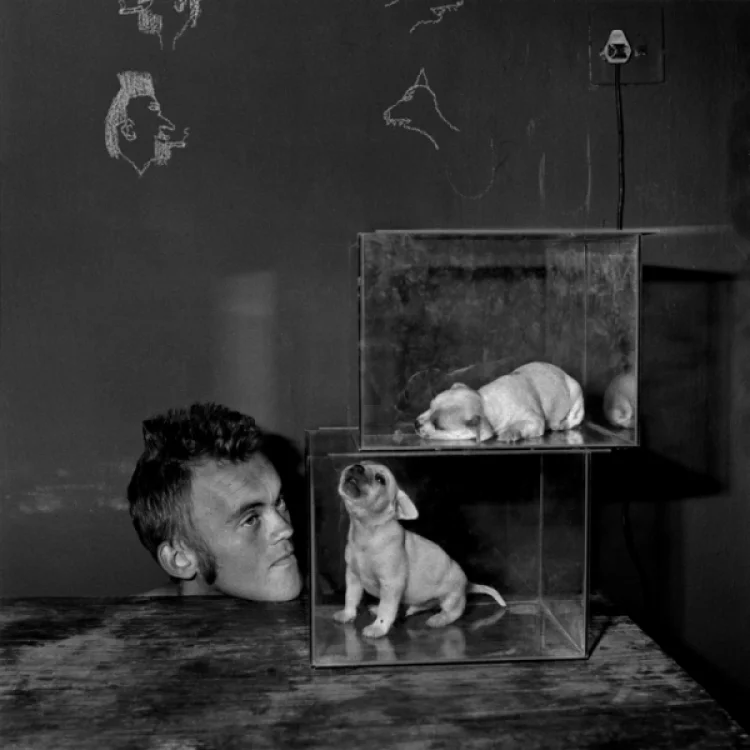 Roger Ballen: Puppies in Fishtanks, 2000 | © Foto: Kleinschmidt Fine Photographs e. K.