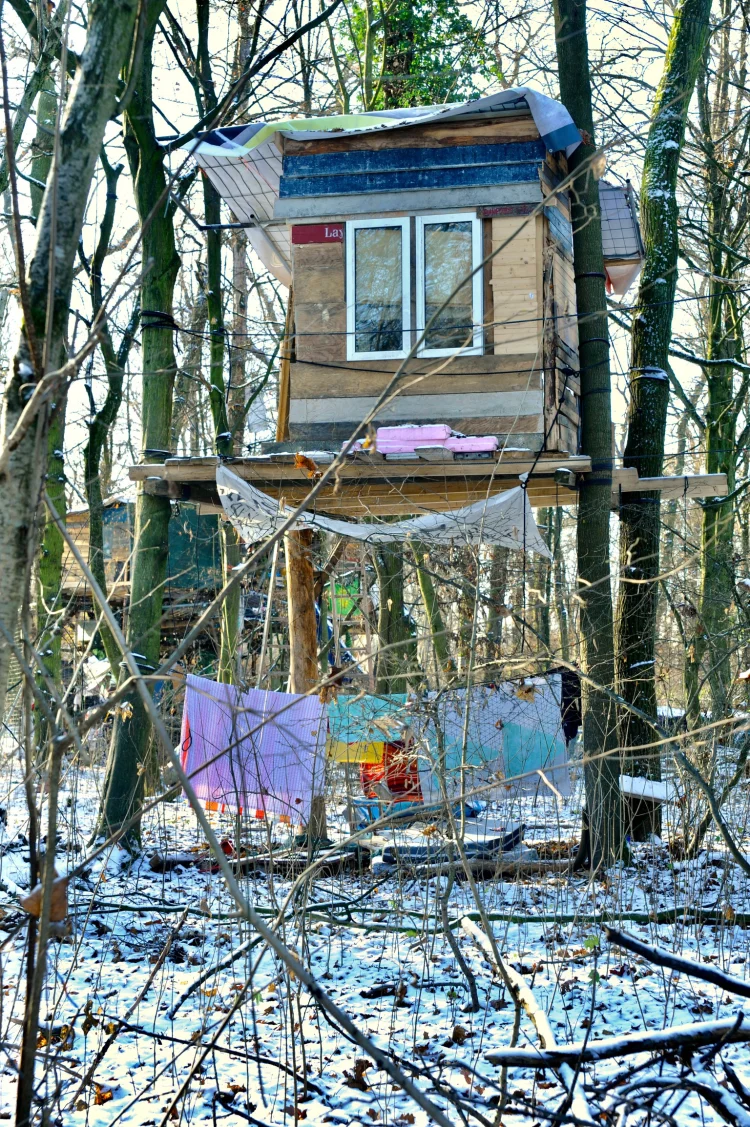 Meike Fischer: Waldbesetzung im Fechenheimer Wald | © Foto: HMF, Meike Fischer