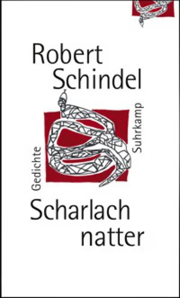 Robert Schindel Scharlachnatter | © Foto: privat